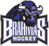 Texas Brahmas