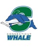 CT Whale