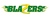Palm Beach Blazers logo