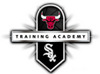 Bulls/Sox Academy