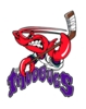 Bossier-Shreveport Mudbugs
