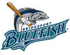 Bridgeport Bluefish