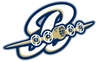 Brazos Valley Bombers