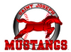 St. Joseph Mustangs
